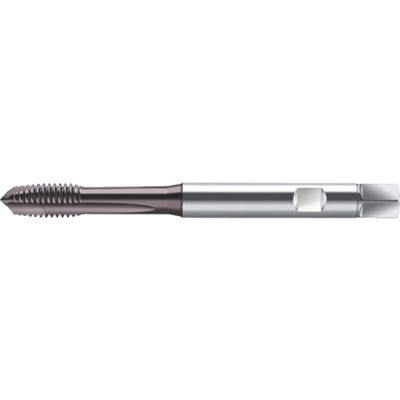 TP-TAPM2BL HSS-E Machinetap S2021302-M2 Prototex® Synch.