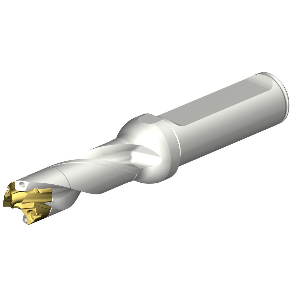 Sandvik Coromant DE10-D1350-135L16-5