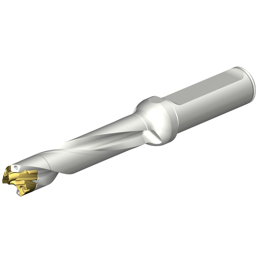 Sandvik Coromant DE10-D1350-135L16-8