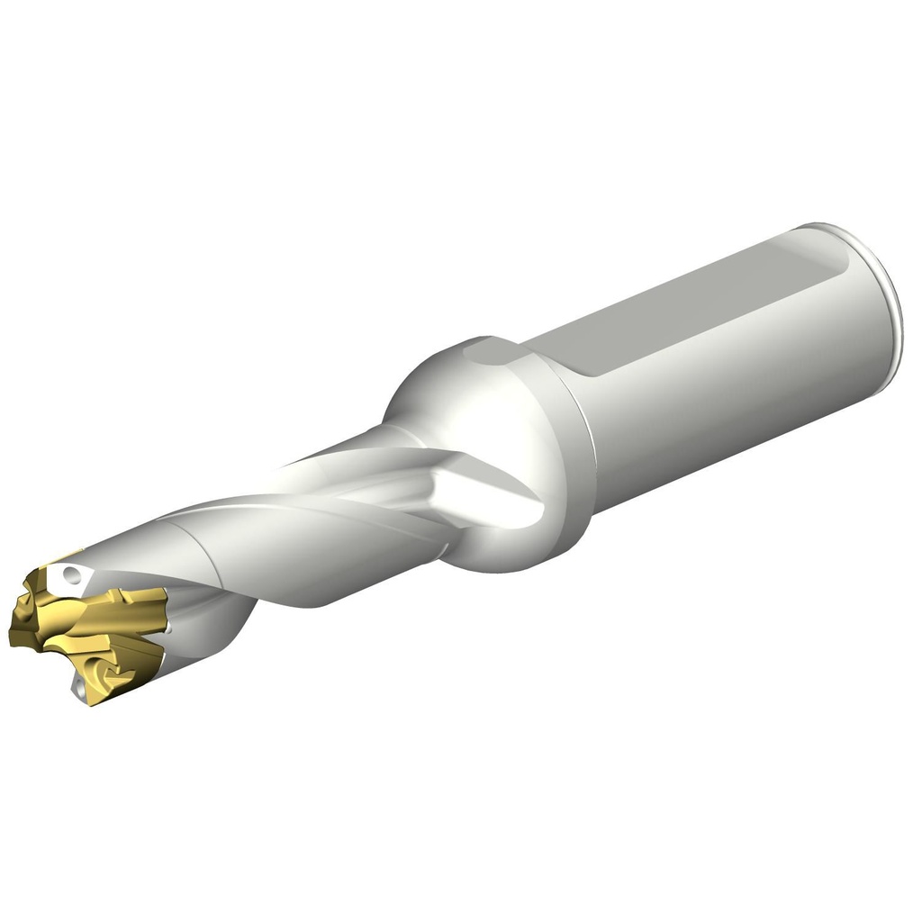 Sandvik Coromant DE10-D1600-160L20-5