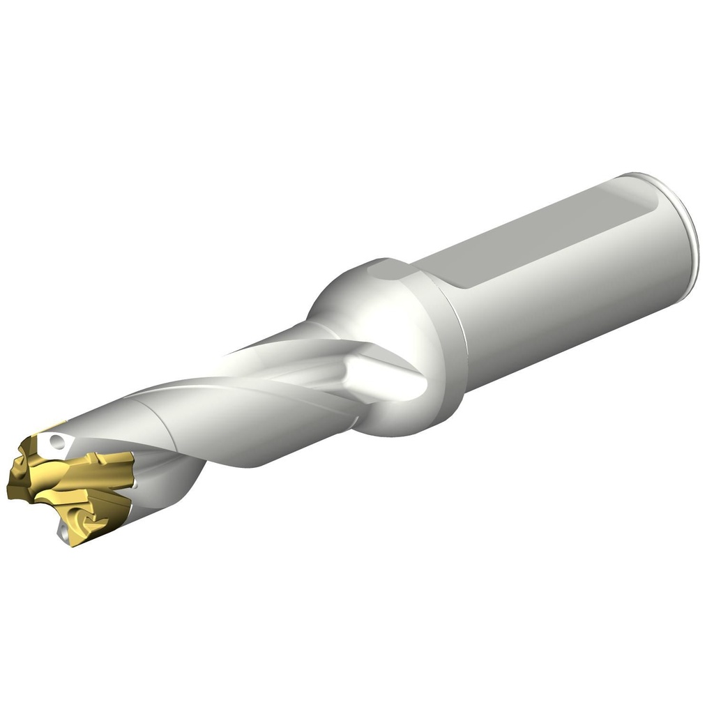 Sandvik Coromant DE10-D1700-170L20-3