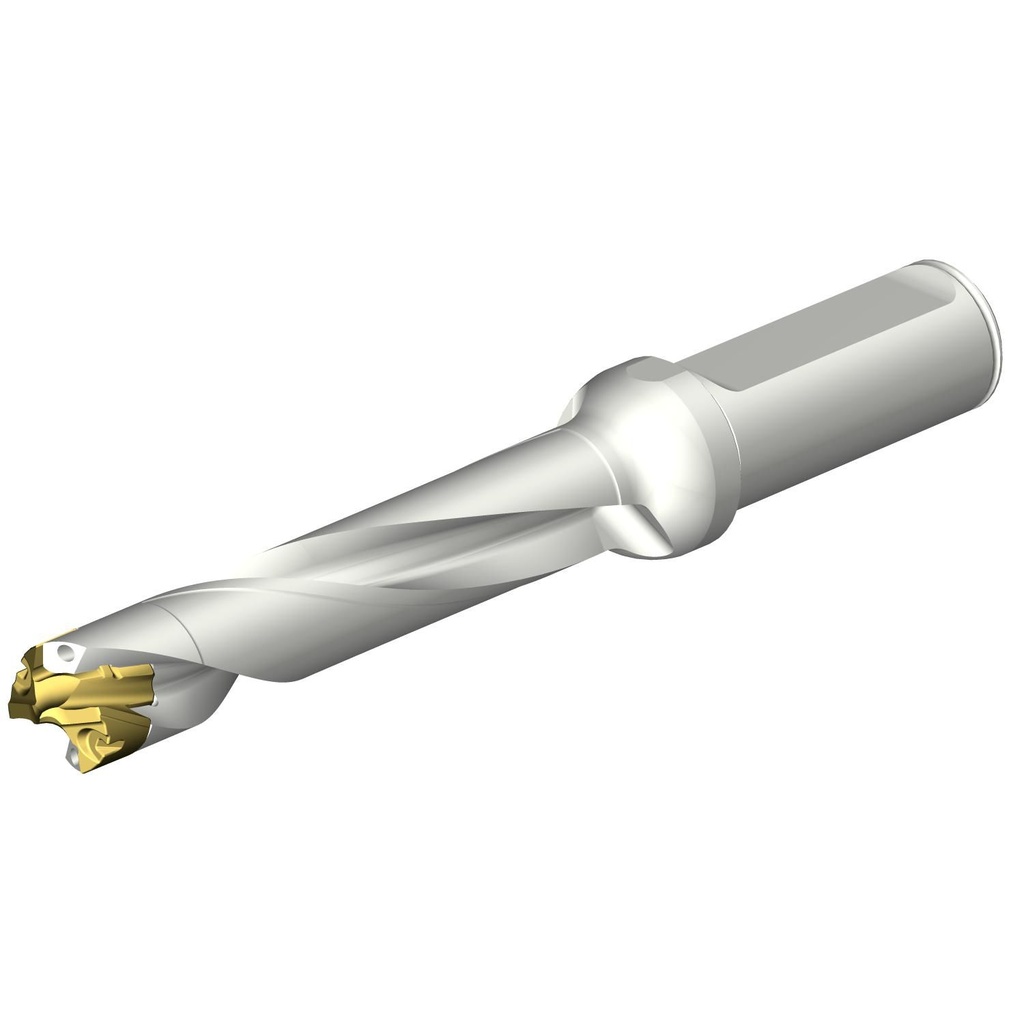 Sandvik Coromant DE10-D1700-170L20-8