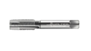 Prototyp P212608-M10X1 Prototex® X·pert P HSS-E Machinetap