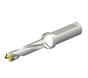 Sandvik Coromant DE10-D1100-110L16-5